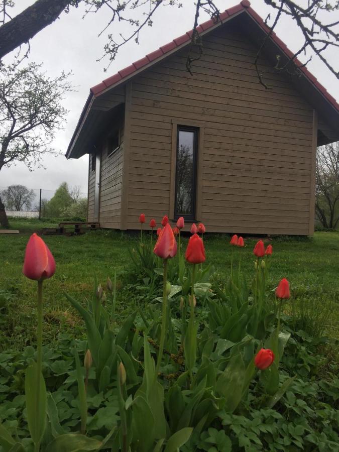 Holiday House Ausekla Namins سيسيس المظهر الخارجي الصورة